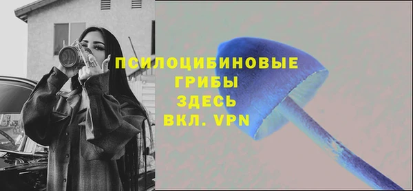 синтетический гашиш Алексин