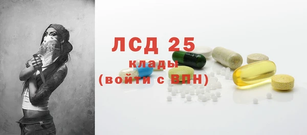 прущий лед Алзамай