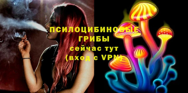 прущий лед Алзамай