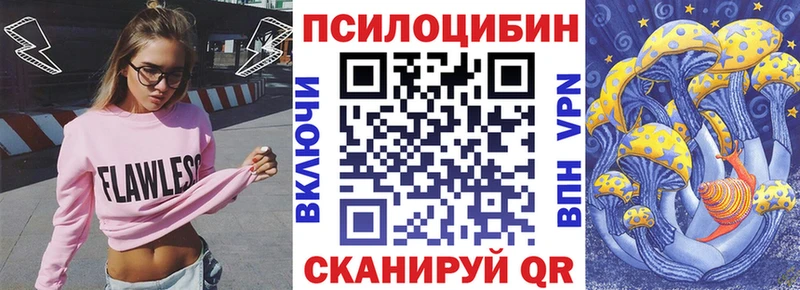 Галлюциногенные грибы Psilocybe  закладка  Катайск 